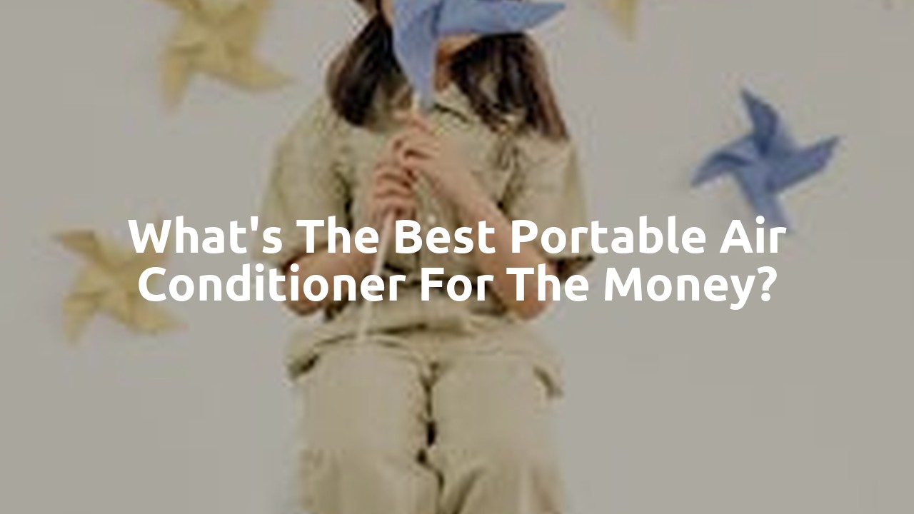 What's the best portable air conditioner for the money?