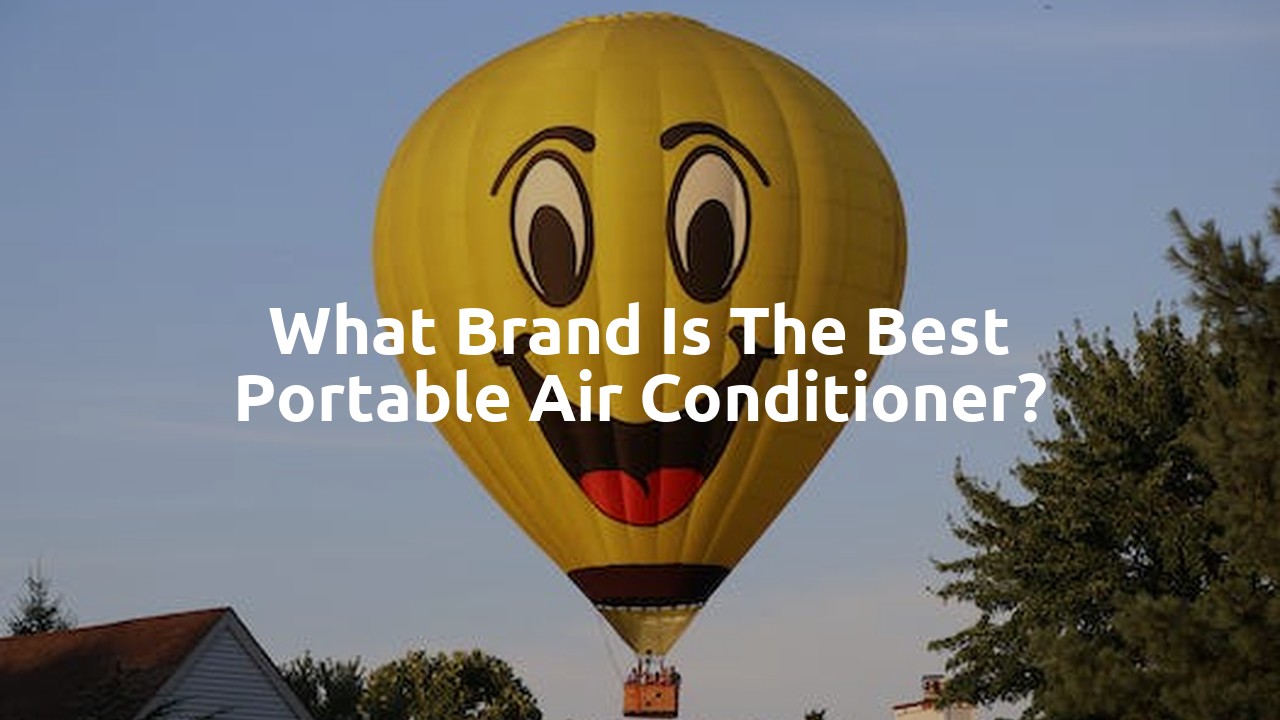 What brand is the best portable air conditioner?