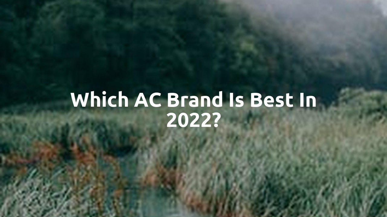 Which AC brand is best in 2022?